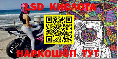 мдпв Бийск