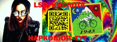 мдпв Бийск