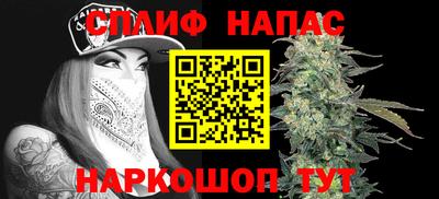 мдпв Бийск